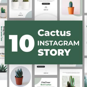 پروژه افترافکت استوری اینستاگرام Cactus Instagram Story Pack